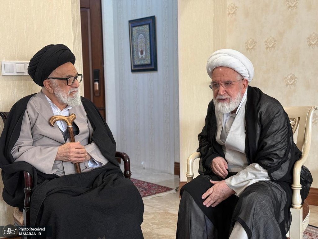 تصاویری از مهمان جدید مهدی کروبی بعد از رفع حصر / مصطفی محقق داماد و برادرش به دیدار شیخ رفتند 4