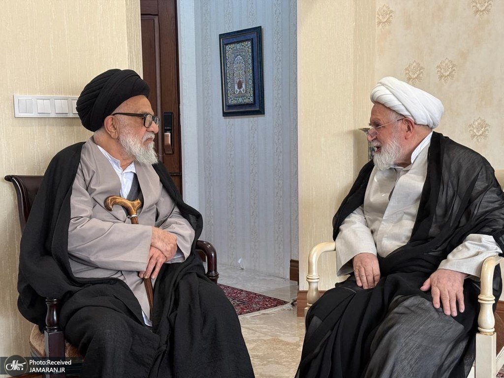 تصاویری از مهمان جدید مهدی کروبی بعد از رفع حصر / مصطفی محقق داماد و برادرش به دیدار شیخ رفتند 2