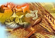 اعلام مبلغ زکات فطره و کفاره توسط نماینده ولی‌فقیه در استان و امام جمعه سمنان