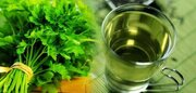 تقویت قوای جنسی با مصرف این نوع سبزی