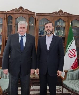 دعوت روسیه از معاون وزیرخارجه برای شرکت در نشست گروه دوستان منشور ملل متحد