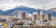 ببینید | آماری عجیب از تجرد نشینی در تهران: سال ۹۵ آمار ۸ درصد بوده الان رسیده به ۱۳ درصد!