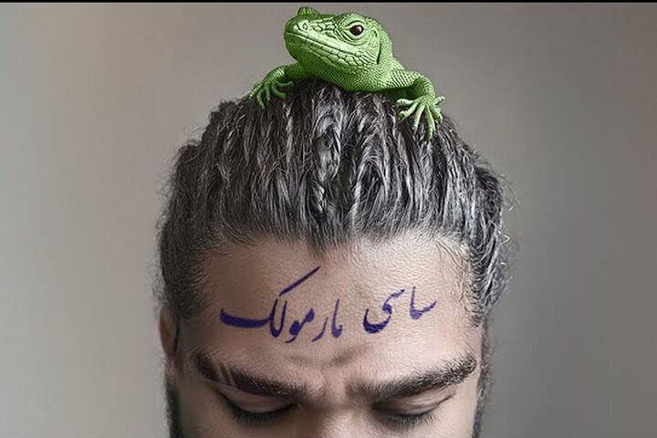 از «منظومه سیمرغ» استاد تا مارمولکی به نام ساسی که به بچه‌ها حمله کرد!
