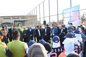 دنیامالی و بیسبال