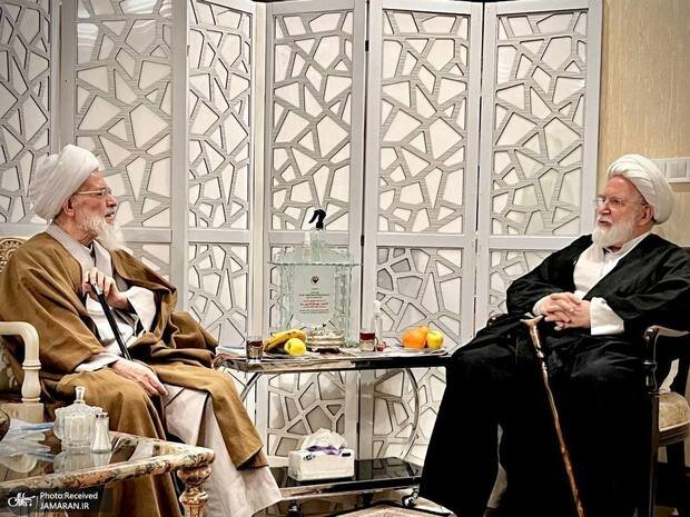 عکسی از دیدار یک مرجع تقلید با مهدی کروبی