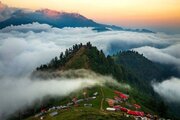 سفر به قاره کوچک/ گشت‌وگذار در جنگل و زیستگاه یوزپلنگ تا زیارت آرامگاه عارف مشهور