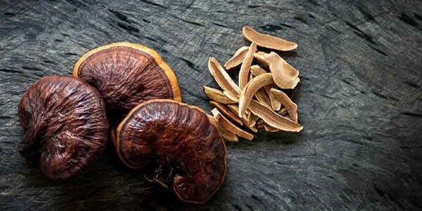 قارچ جانافزا میتواند جایگزین انسولین و داروهای کاهنده قند خون شود؟