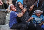 مردم فلسطین «ناصبی» هستند؟