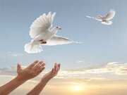 چرا زن در دین اسلام این قدر محدود است؟