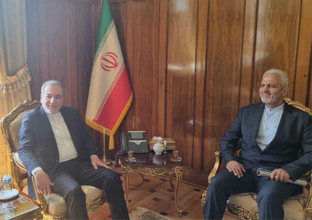 دیدار بیگدلی و نجفی با عراقچی/عکس