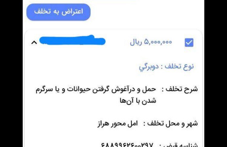 جریمه حمل سگ و گربه ۵۰۰ هزار تومان/ سوار کردن کودکان کمتر از ۱۲ سال در صندلی جلو ۶۰ هزار تومان!