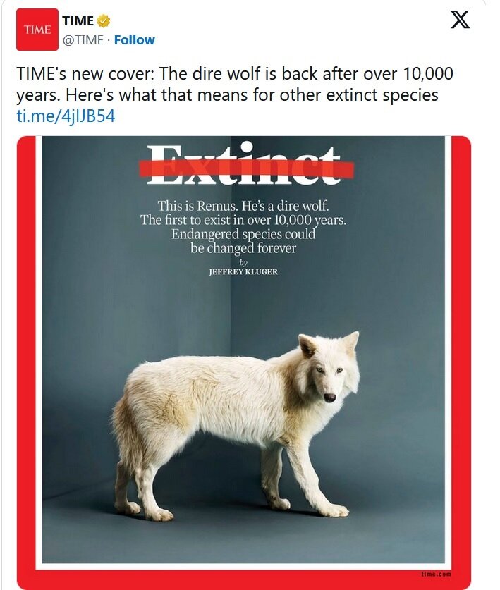 حیوان خانگی عجیب ایلان ماسک