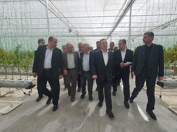 بازدید استاندار قزوین از شرکت خدمات هواپیمایی ویژه استان