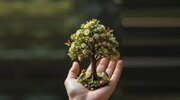  فرمول طلایی امام سجاد(ع) برای هدایتگری و اصلاح نفس