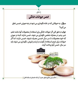 نظر رهبر انقلاب درباره خمس حیوانات خانگی