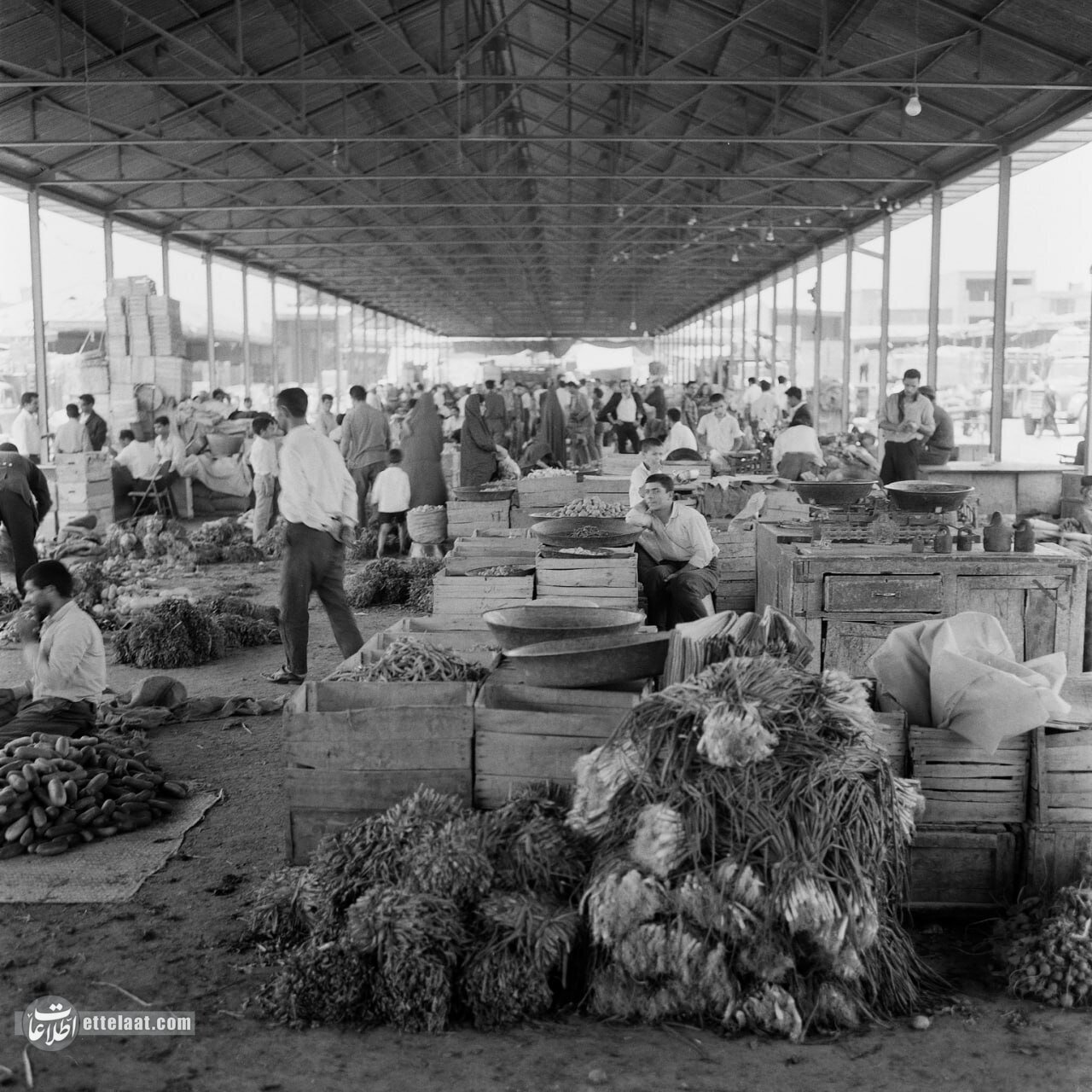 میدان میوه و ترهبار تهران در ۵۰ سال پیش/ عکس