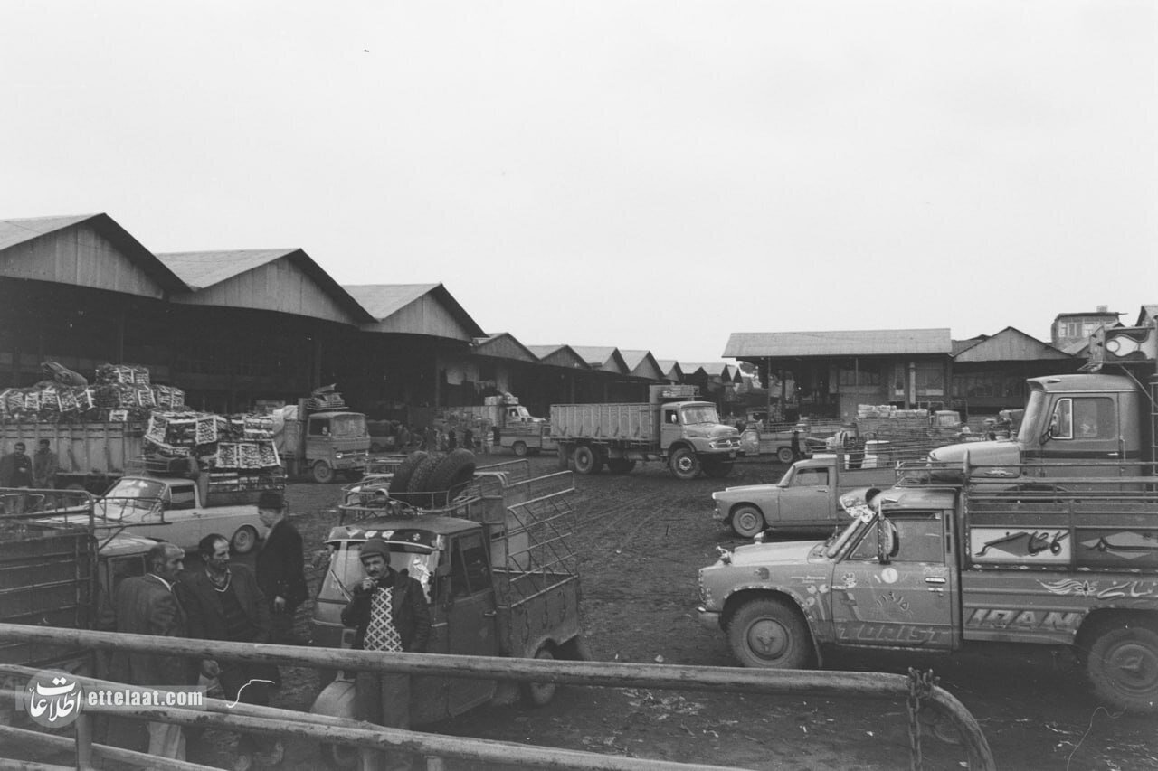 میدان میوه و ترهبار تهران در ۵۰ سال پیش/ عکس