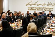 تأکید بر ضرورت بازنگری در الگوی کشت، توسعه مکانیزاسیون و ثبات در بازار محصولات