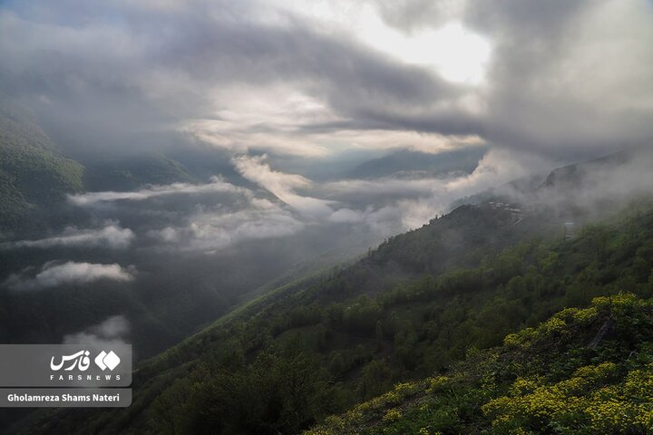 طبیعت بهاری کوهستان چالوس