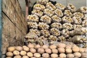 علت بحران سیب‌زمینی از زبان وزیر دادگستری
