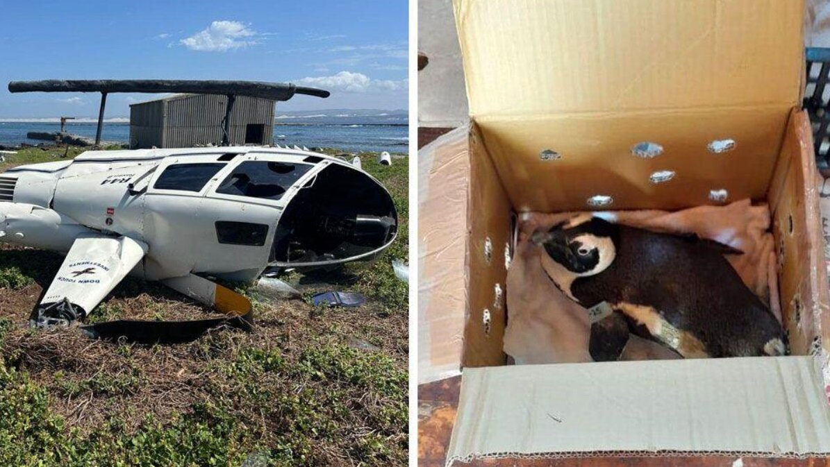 سقوط یک هلیکوپتر خبرساز شد/ علت چه بود+ عکس