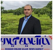 درخواست فرماندار لنگرود برای اخذ ضمانت از کارخانه‌داران بدحساب چایسازی