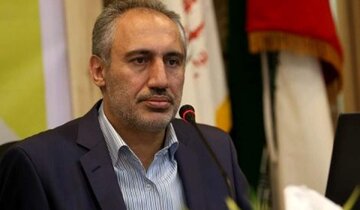 ادعای جدید رییس سازمان برنامه/ کل جهیزیه عروس و داماد را مجانی بدهیم، بهتر از وام ۴ درصدی ازدواج است/ خانه هم مجازی بسازیم، ارزان‌تر از وام در می‌آید