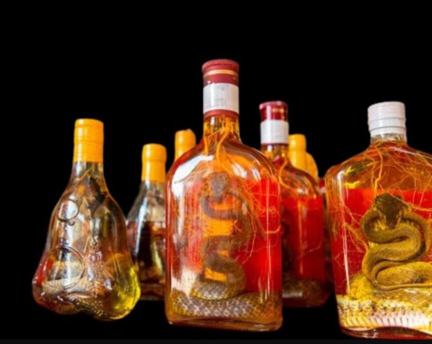 پیدا شدن یک چمدان با محتویات عجیب و باورنکردنی/ عکس