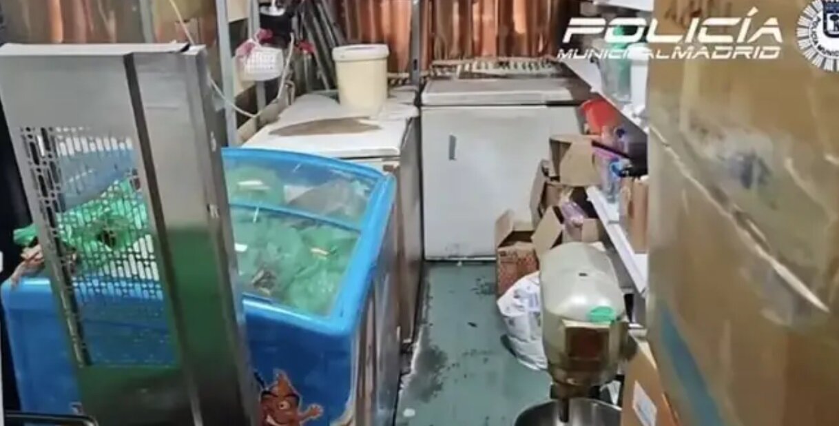 سرو کبوتر خیابانی بهجای اردک در یک رستوران/ عکس