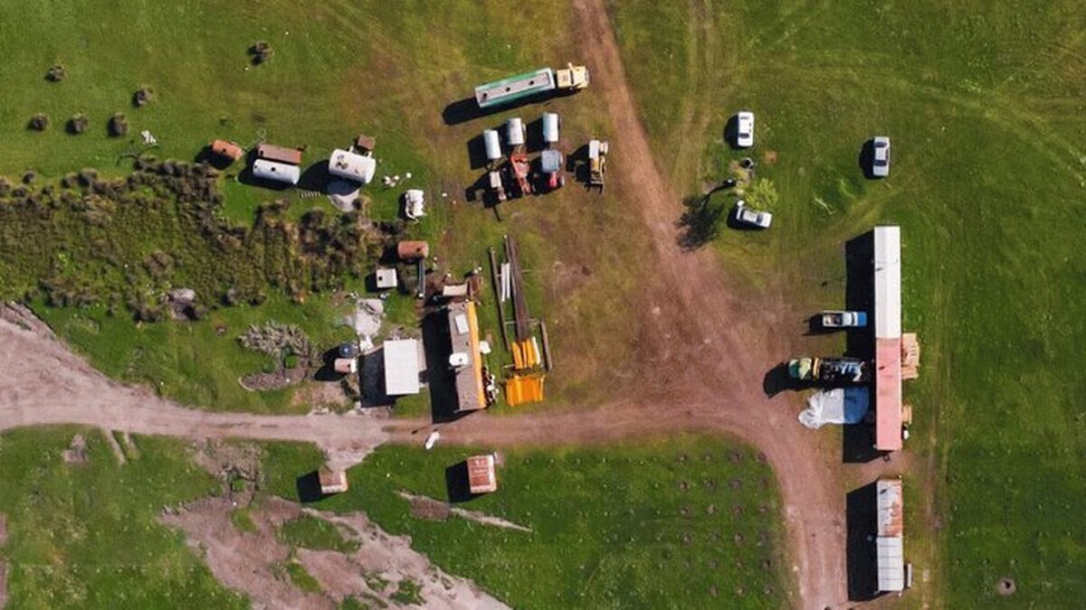 کندن لاله واژگون در ترکیه تا ۱۵۰۰۰ دلار جریمه دارد/ در ایران سازمانی ۹۰ هکتار مراتع میانکاله را برای ساخت پتروشیمی واگذار میکند