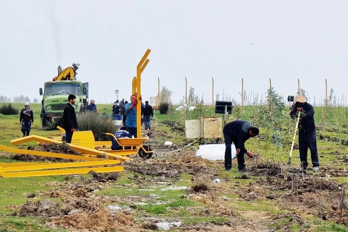 پتروشیمی میانکاله؛ جدال محیطزیست و تخلف در سایه نفوذ/ «اخذ بودجه»، محرک احیای طرحهای مخرب محیطزیستی