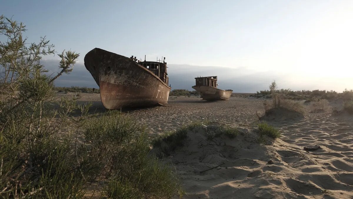 «چرنوبیل خاموش»، تراژدی بیصدا در قلب آسیا/ زمین ترک برداشت/ عکس