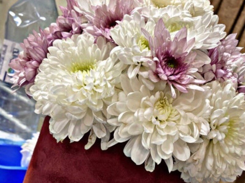 راهنمای خرید گل برای مناسبت های خاص