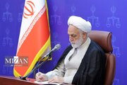 پیام رئیس قوه قضاییه در پی درگذشت دو قاضی در یک تصادف