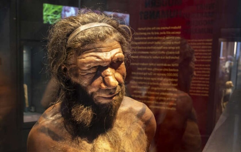 نتایج جالب یک مطالعه جدید؛ اروپاییها ۳ هزار پیش چه شکلی بودند؟/ عکس