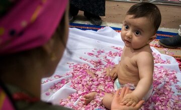 ۲۰ برنامه فرهنگی در جشنواره «گل غلتان» امیریه دامغان اجرا می‌شود