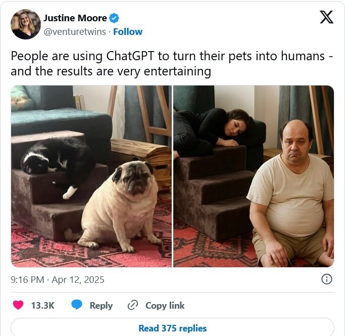 ترند جدید و عجیبِ تبدیل حیوان خانگی به انسان!