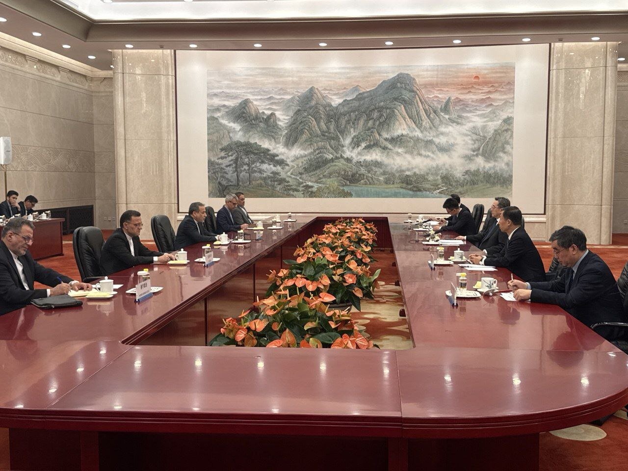 دیدار عراقچی با معاون اول نخستوزیر چین/عکس