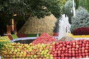 ببینید | قیمت میوه و خشکبار در تاجیکستان