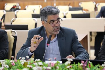 ۶۶ درصد بافت های روستایی دارای طرح هادی در استان کرمان سند ندارند