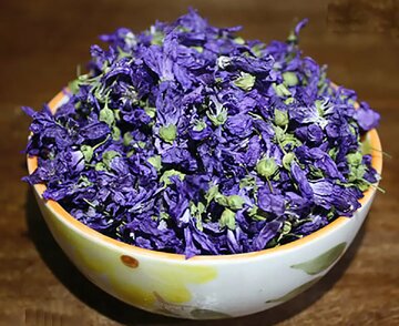 گلی با خواص شفابخشی گلی با خواص شفابخشی