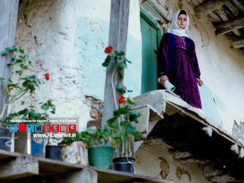 نگاهی به حضور کارگردانان ایرانی در بخش مسابقه جشنواره کن به بهانه انتخاب تازهترین ساخته سعید روستایی