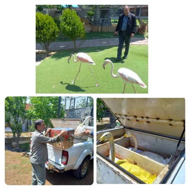 کشف عجیب از یک منزل شخصی در کرج/ عکس