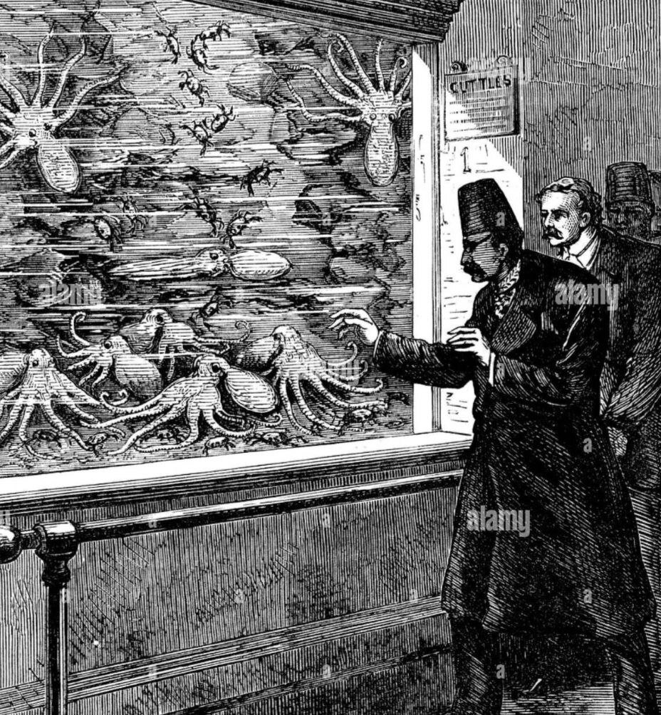 عکس/ ناصرالدینشاه محو تماشای آکواریومی در لندن