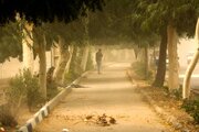 آمار مصدومان طوفان شب گذشته در تهران