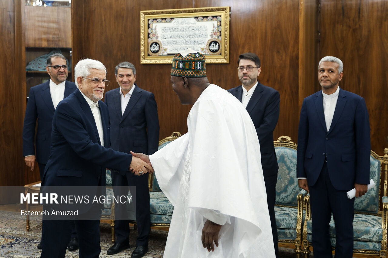 وزیر نفت نیجر با لباس سنتی به دیدار عارف رفت+عکس