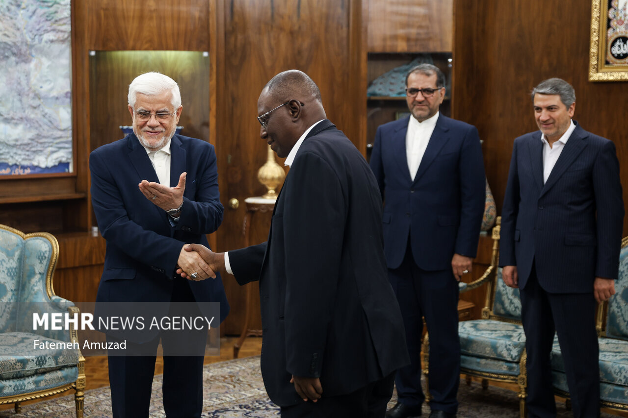 وزیر نفت نیجر با لباس سنتی به دیدار عارف رفت+عکس