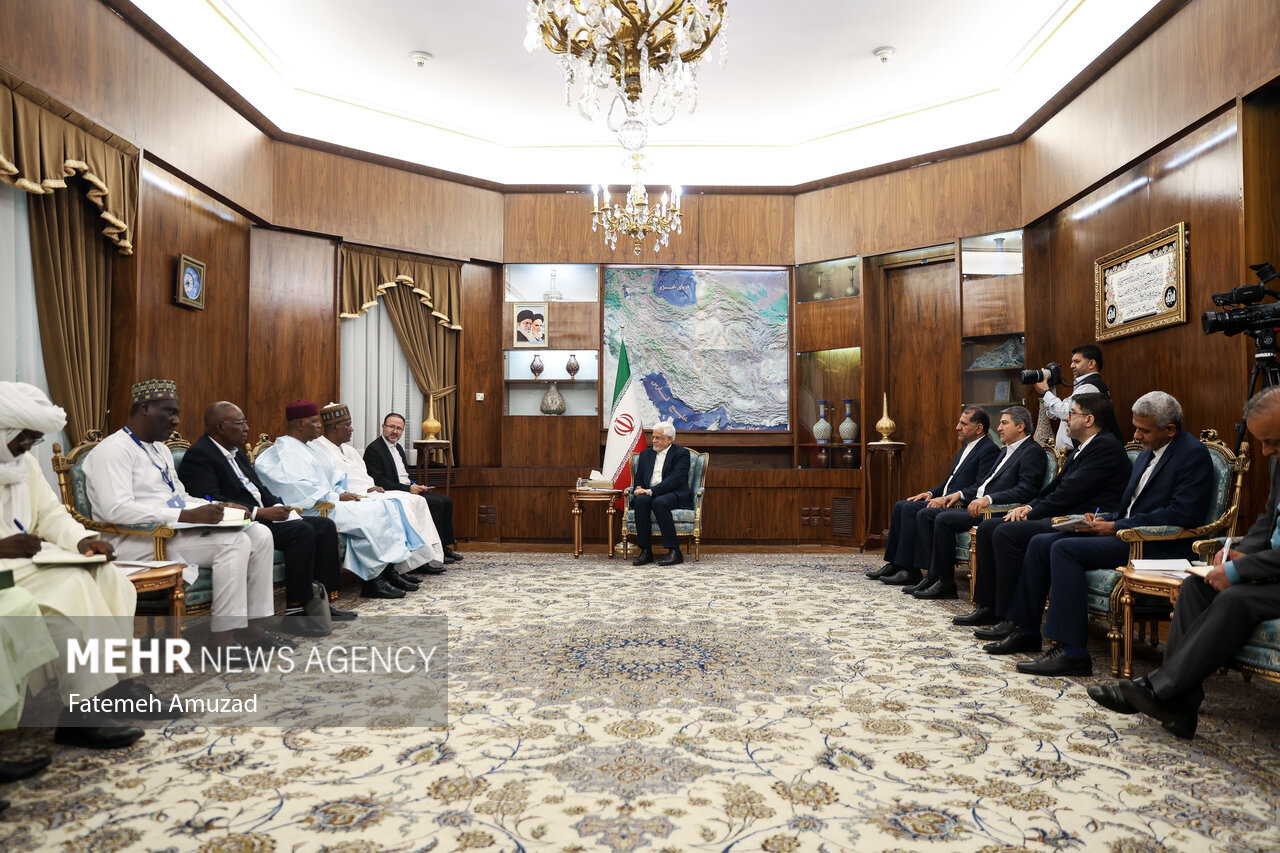 وزیر نفت نیجر با لباس سنتی به دیدار عارف رفت+عکس