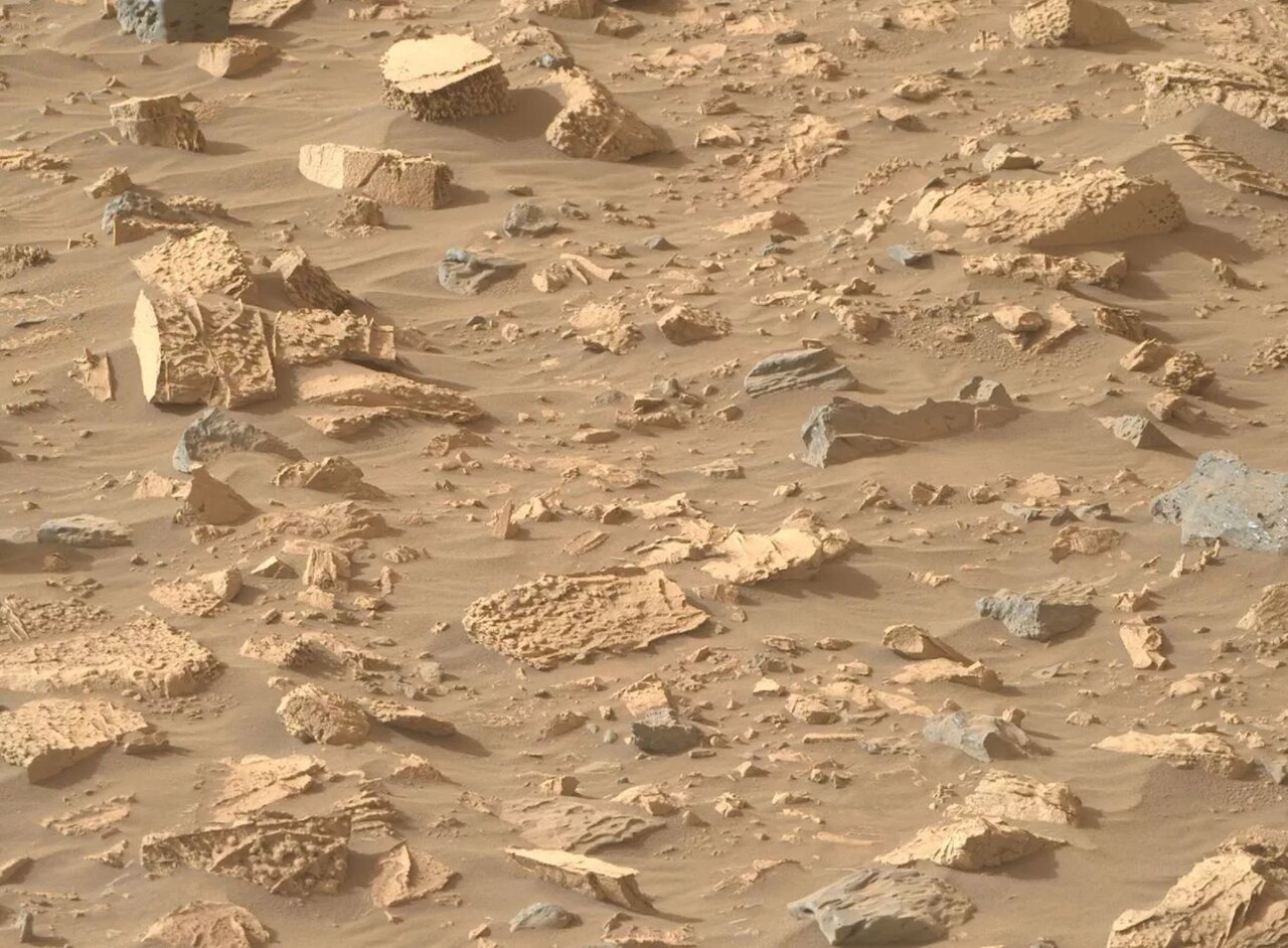 استقامت این عکس را در دره نرتوا گرفته است