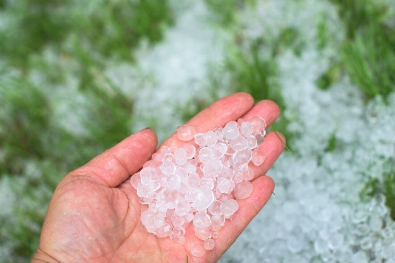 ببینید | لحظه دقیق شروع تگرگ در ایالات متحده آمریکا